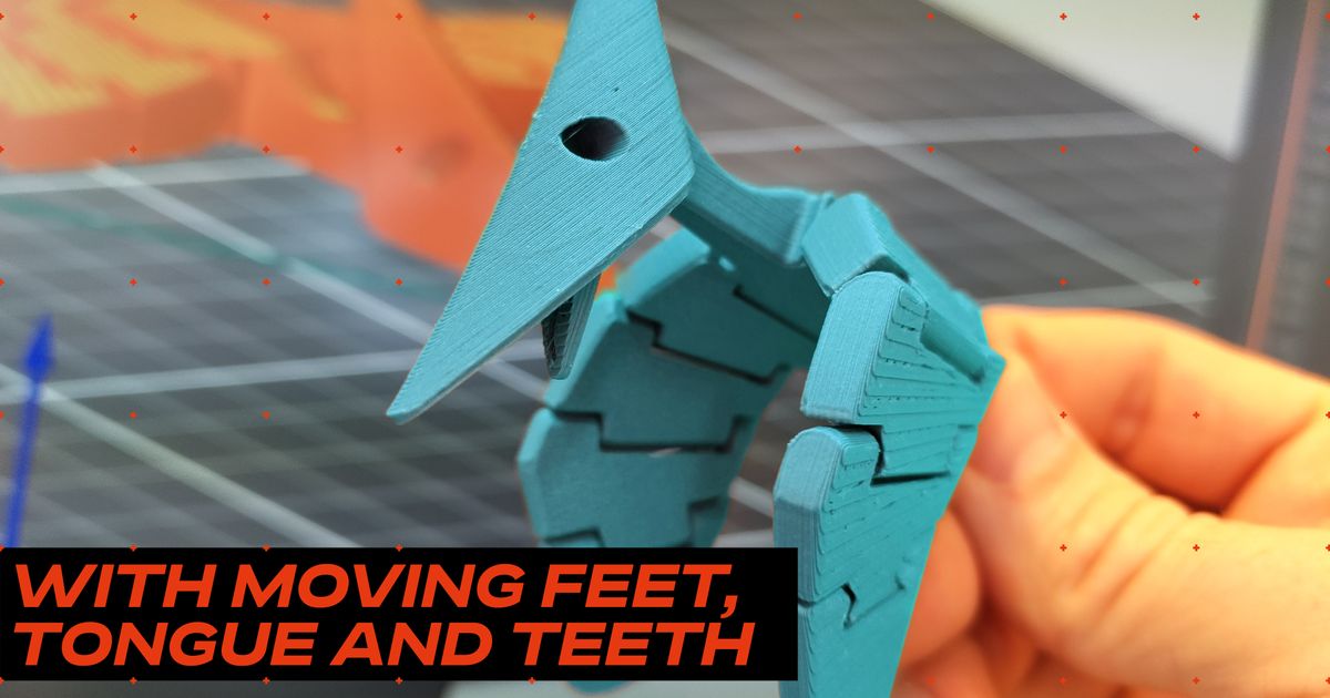 Berta — pterodáctilo flexible